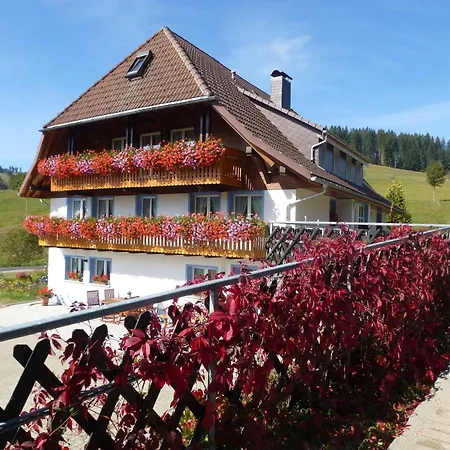 Josenmühle * Titisee-Neustadt